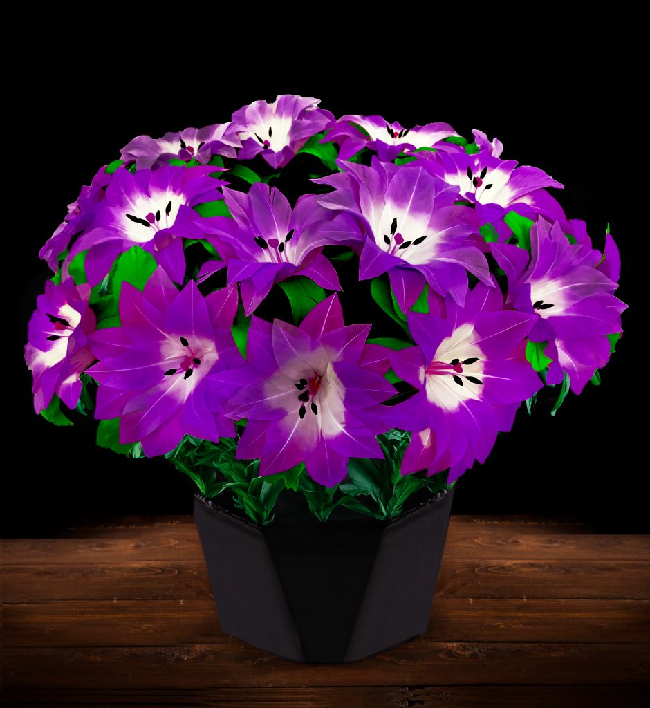  Purple Flower Pot  Lily Tora Magic Co 
