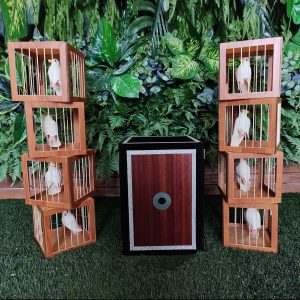 Appearing 8 Cages From Empty Frame